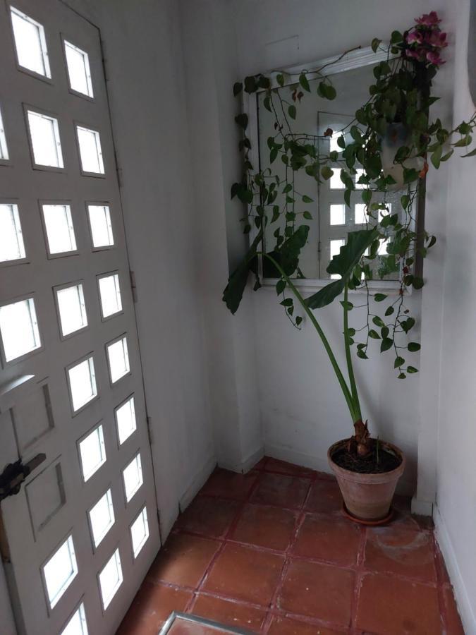 Apartamento Tipo Loth Alameda Sevilla Exteriör bild